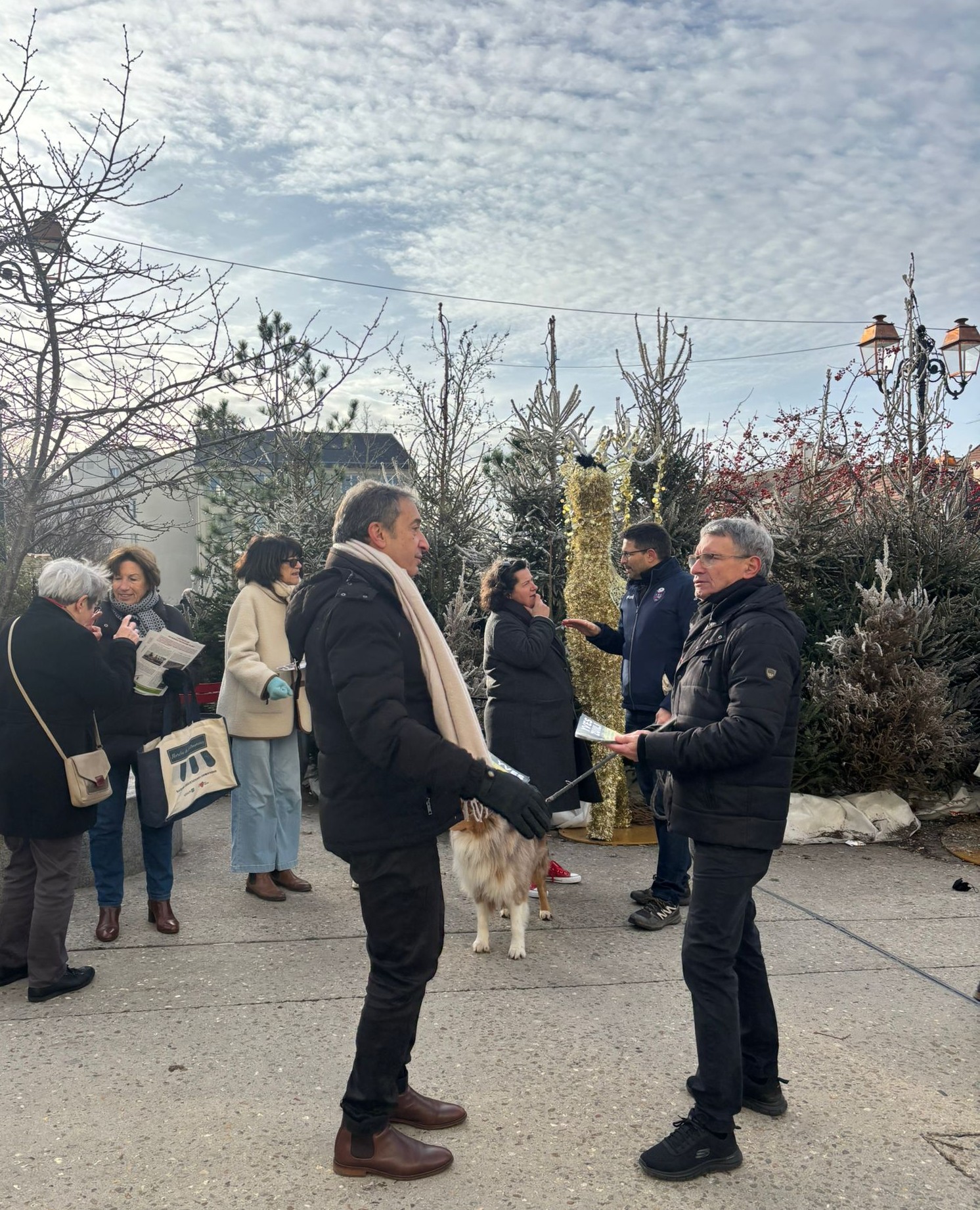 Tractage le 260111-2